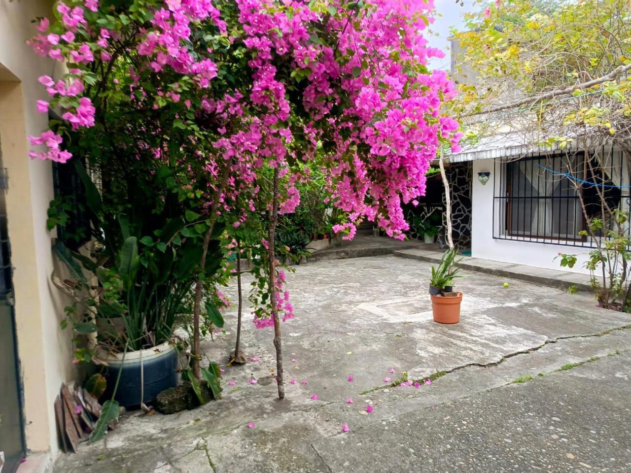Posada Familiar Papantla Kültér fotó